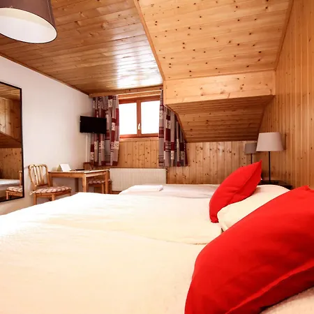 Pointe De Ξενοδοχείο Zinal